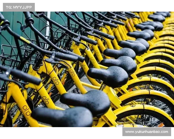 安联赞助商十大经典成功案例解析彰显品牌全球影响力与战略智慧